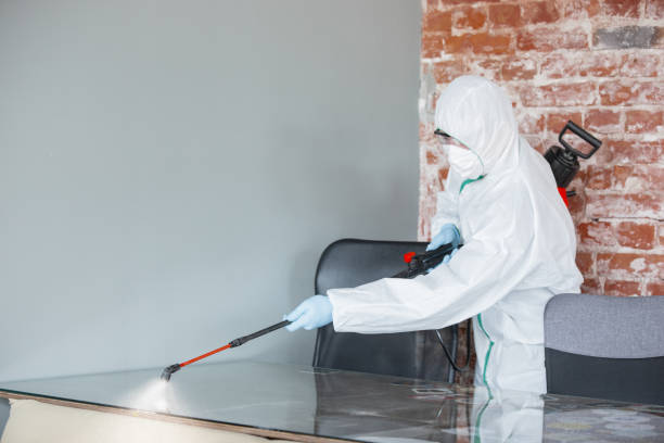 Why You Should Choose Our Mold Remediation Services in Thorofare, NJ